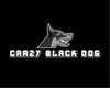 Crazy Black Dog